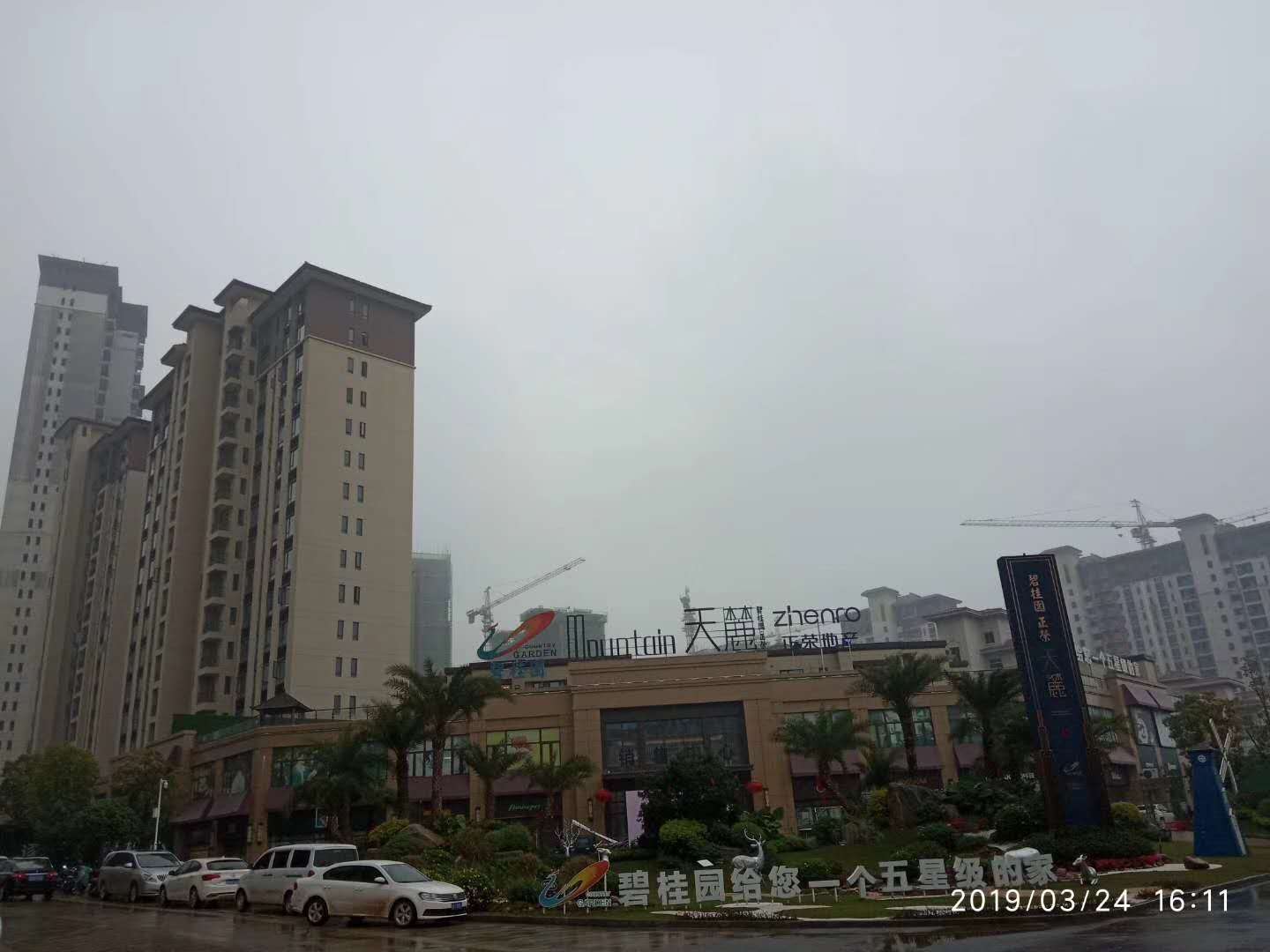 碧桂园